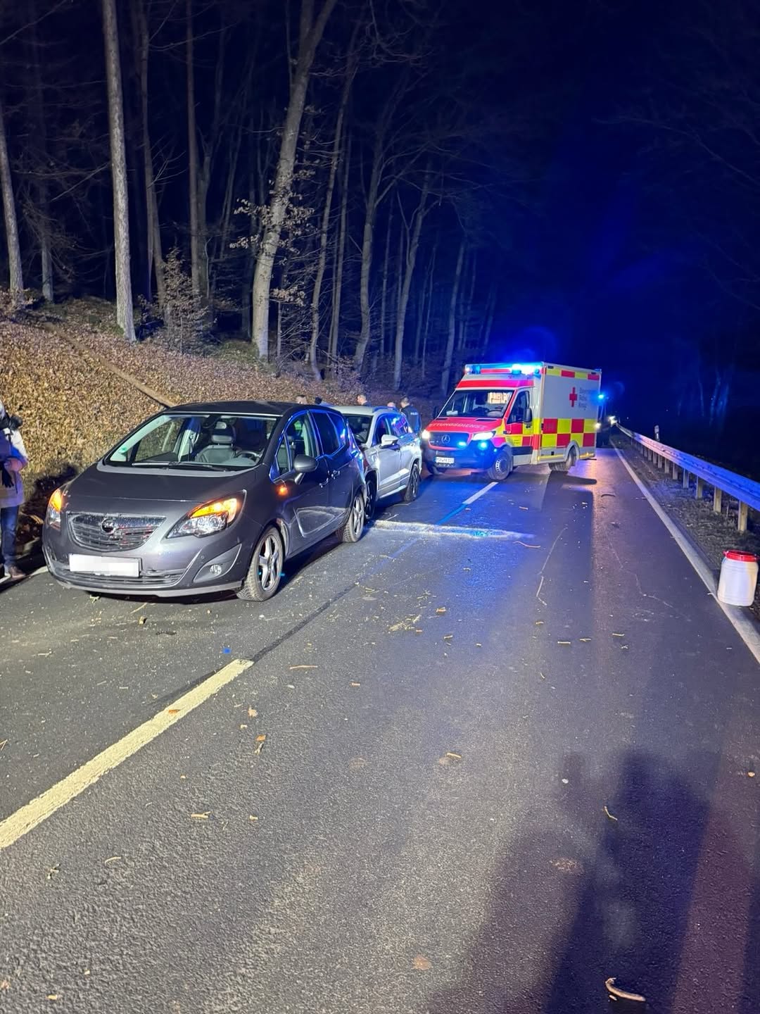 Umgestürzter Baum verursacht Verkehrsunfall